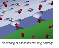artist's rendering of encapsulated drug delivery