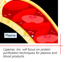 rendering of blood cells and plasma