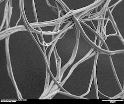 Xanofi produced sample cellulose acetate fibers