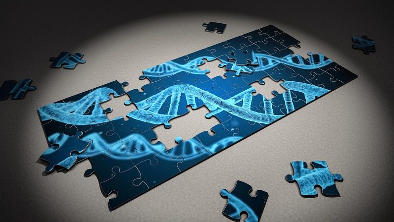 Gene editing graphic as puzzle