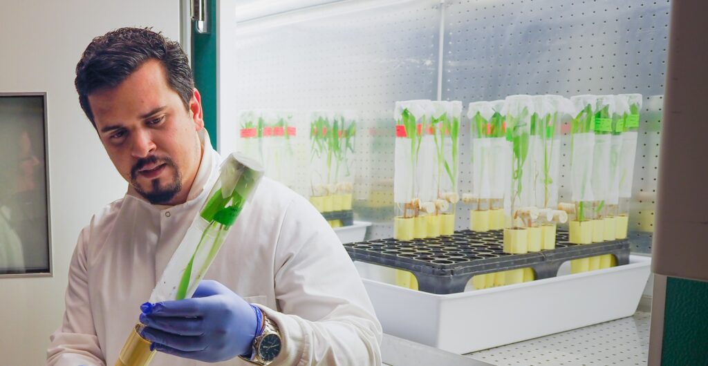 Researcher in lab holding plant sample