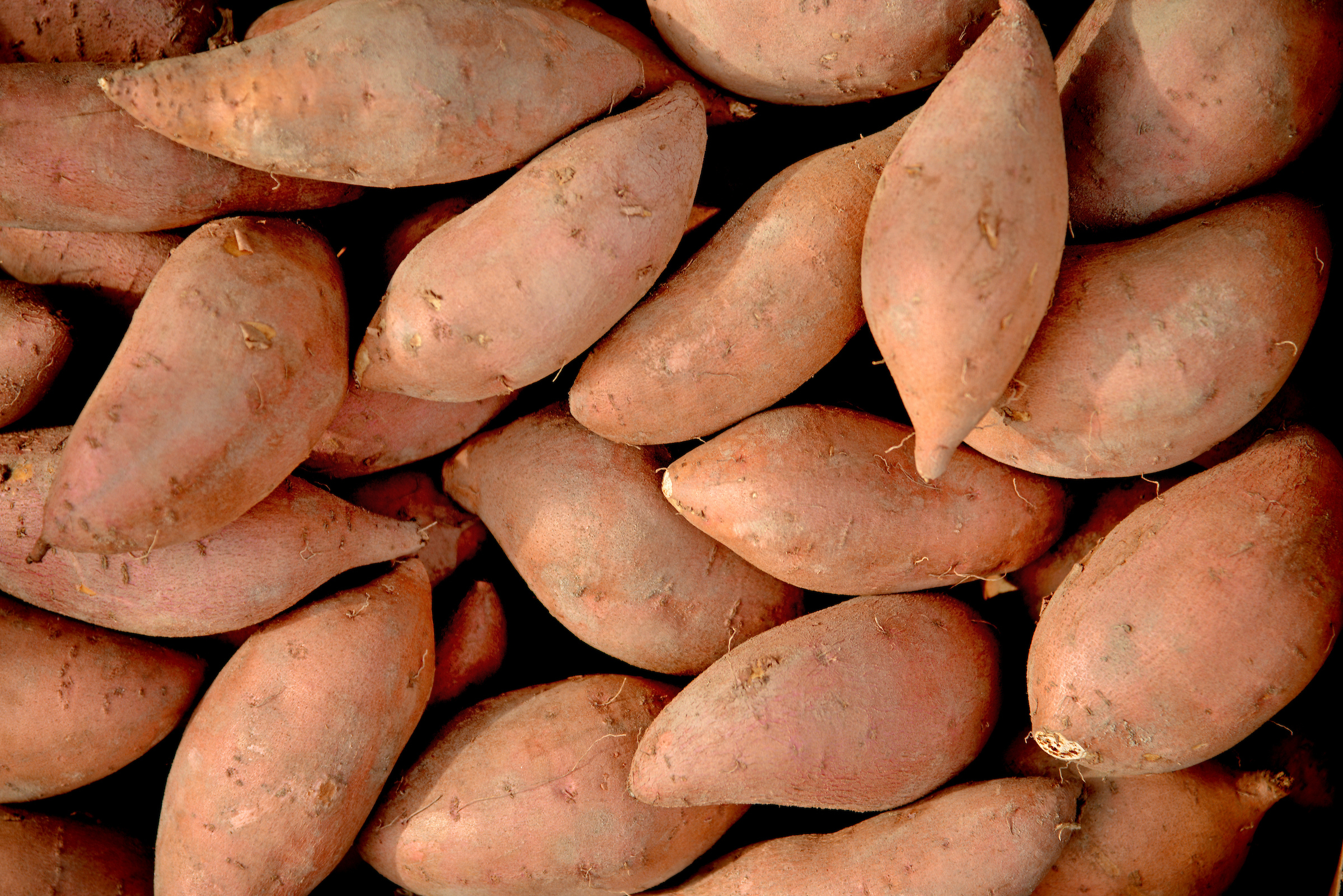 Sweet potatoes on the shelf