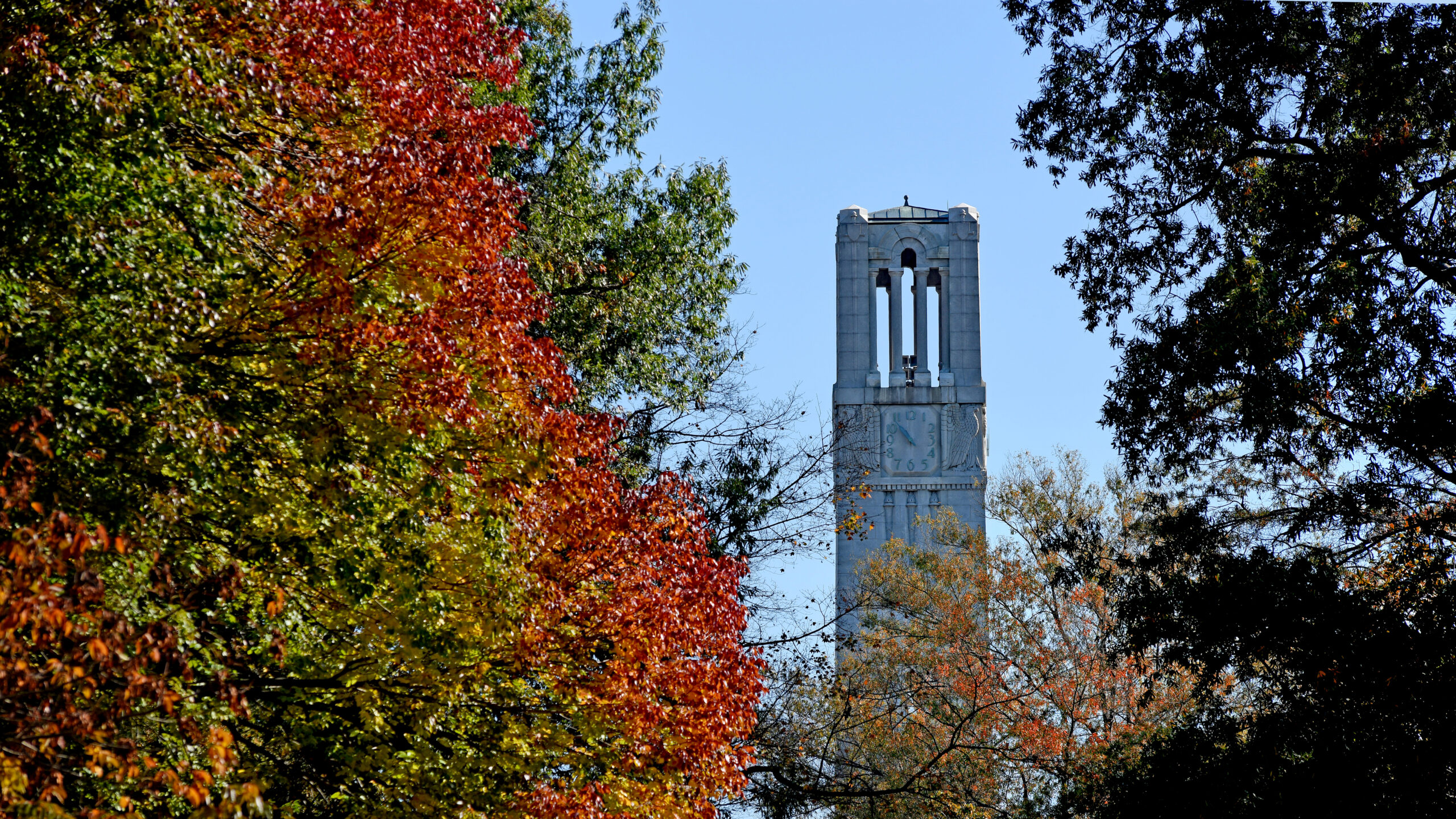 Trees burst with fall color on Court of North Carolina, with the Belltower in the background.