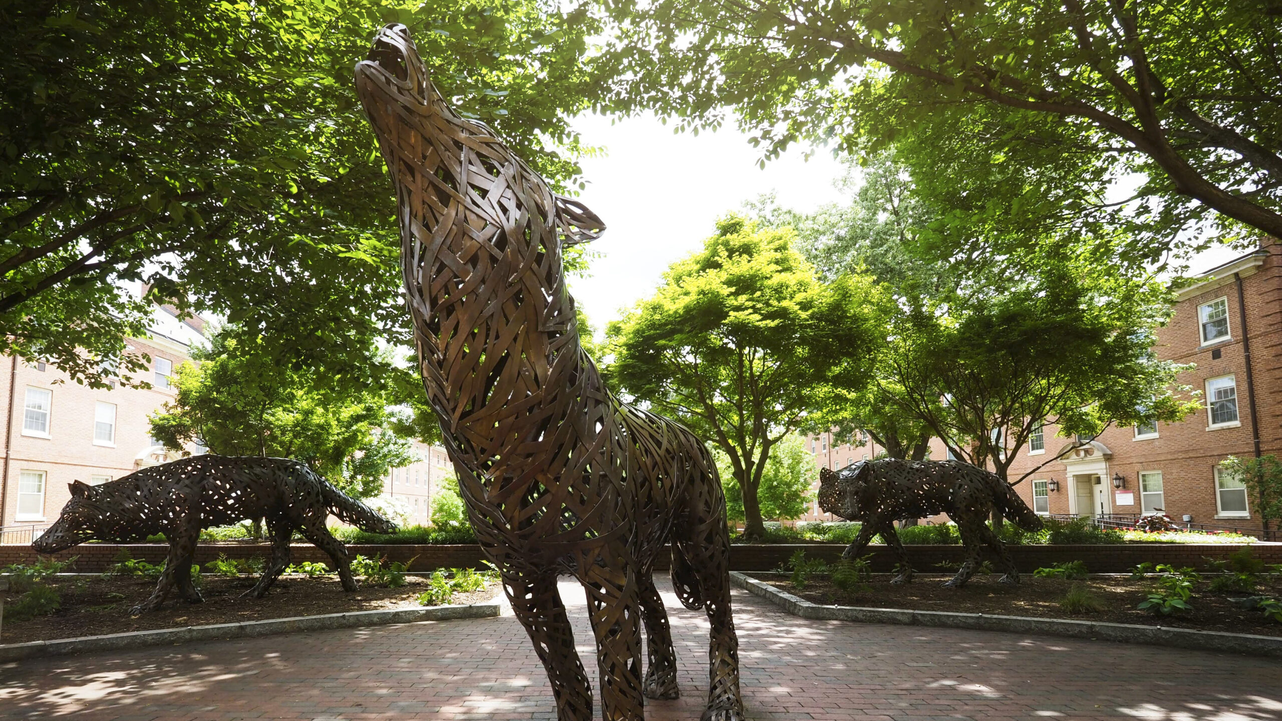 The copper wolves at Wolf Plaza near Talley student union.