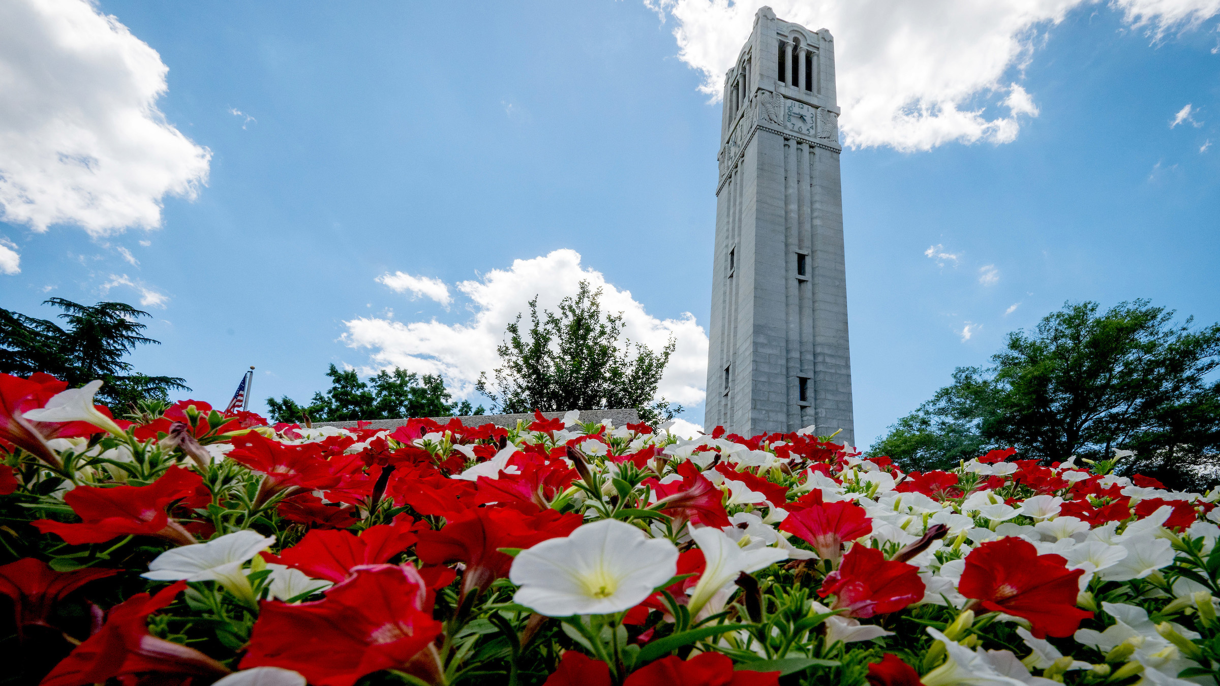 The NC State Belltower framed with spring flowers on a May afternoon.