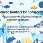 Genetic frontiers for conservation