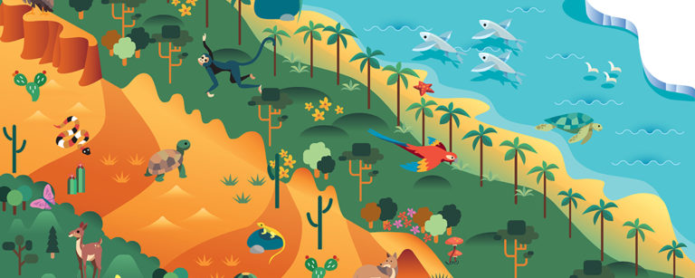 Illustration of biodiversity—forests, desert, oceans, tundra (Adobe Stock)