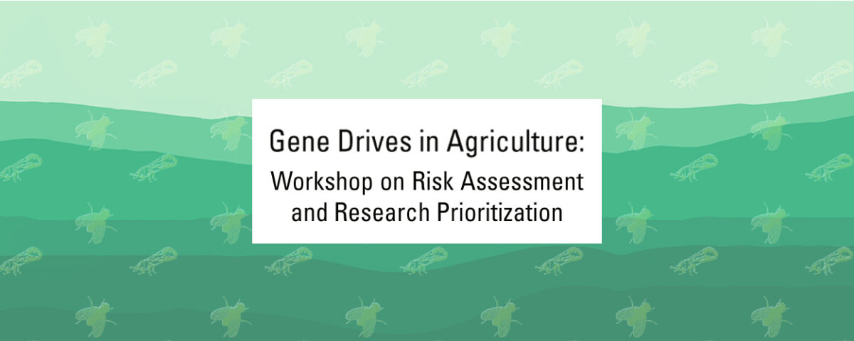 Gene Drives in Agriculture: Workshop on Risk Assessment and Research Prioritization