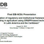 IDB Agenda cover image EN 8-24-22