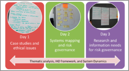 Thematic analysis, IAD framework, and System Dynamics