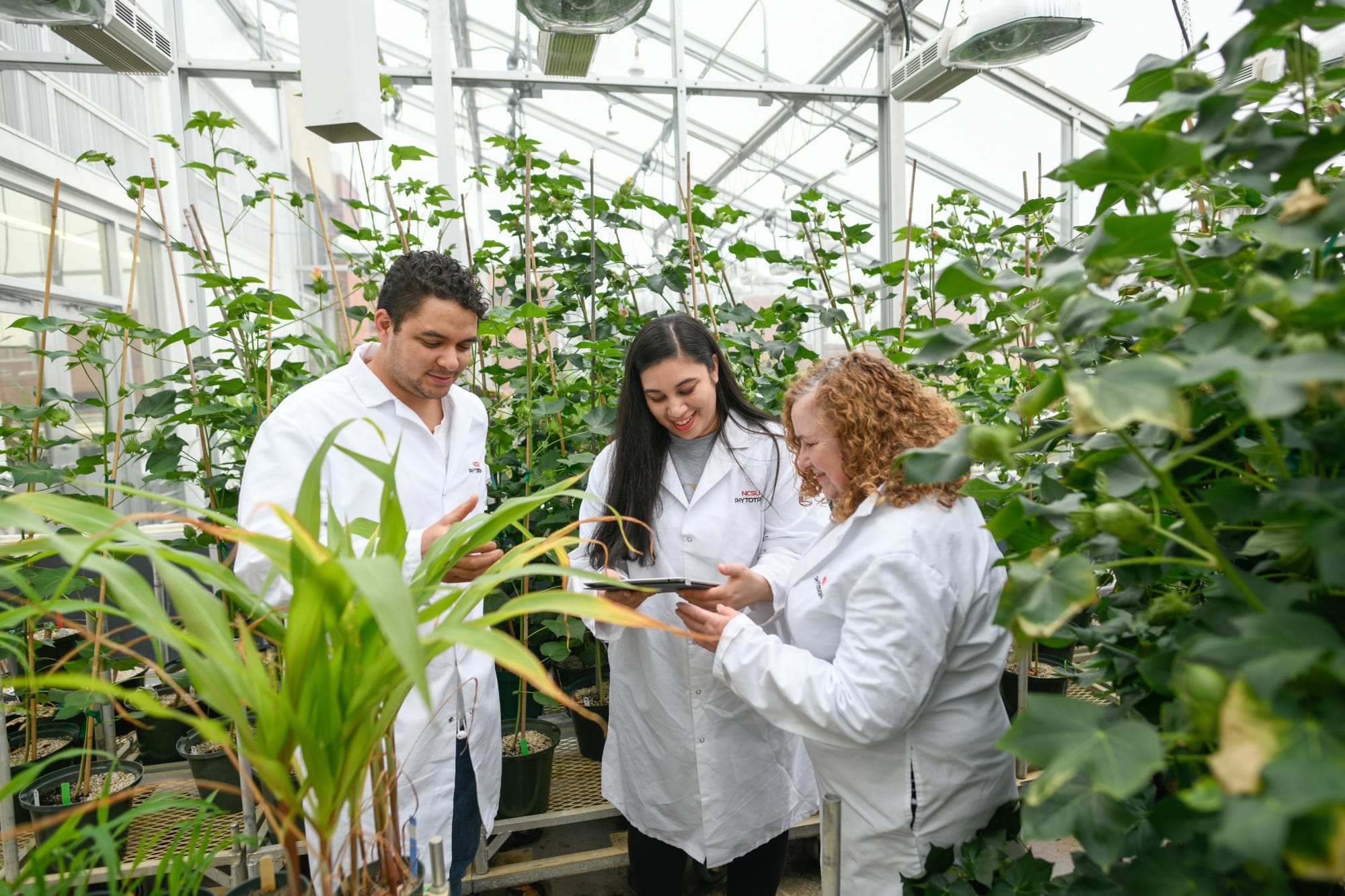 Jabeen Ahmad in the Phytotron with colleagues