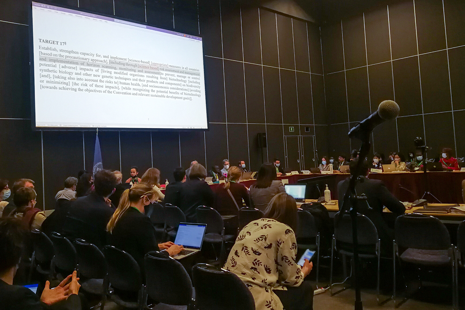 COP15 attendees discussing Target 17 of the GBF