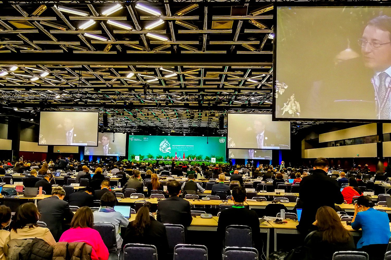 A plenary meeting of the United Nations biodiversity conference (December 2022). Credit: Willy Wei