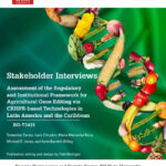 stakeholder_int_cover thumb