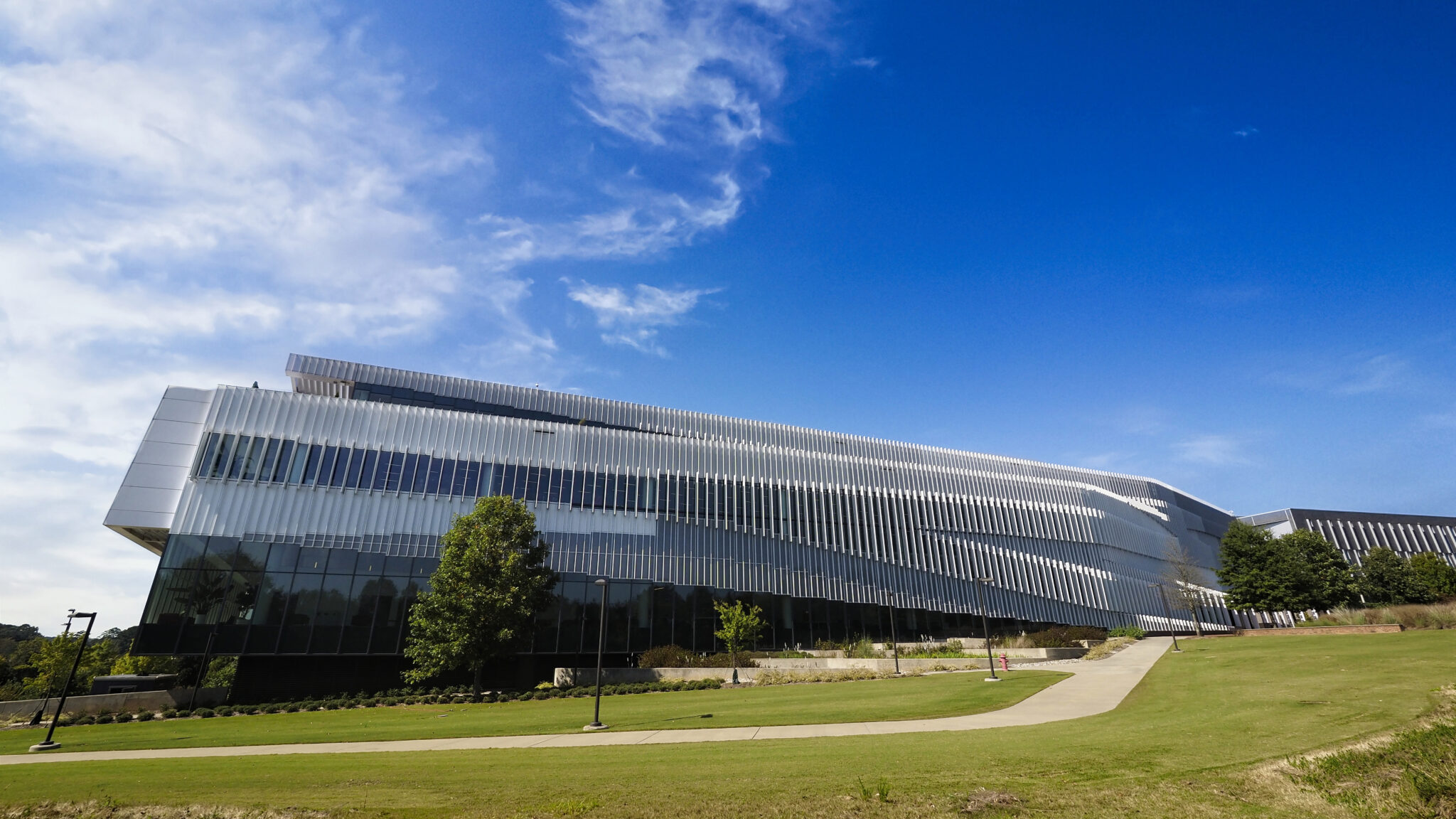 ncsu office of undergraduate research