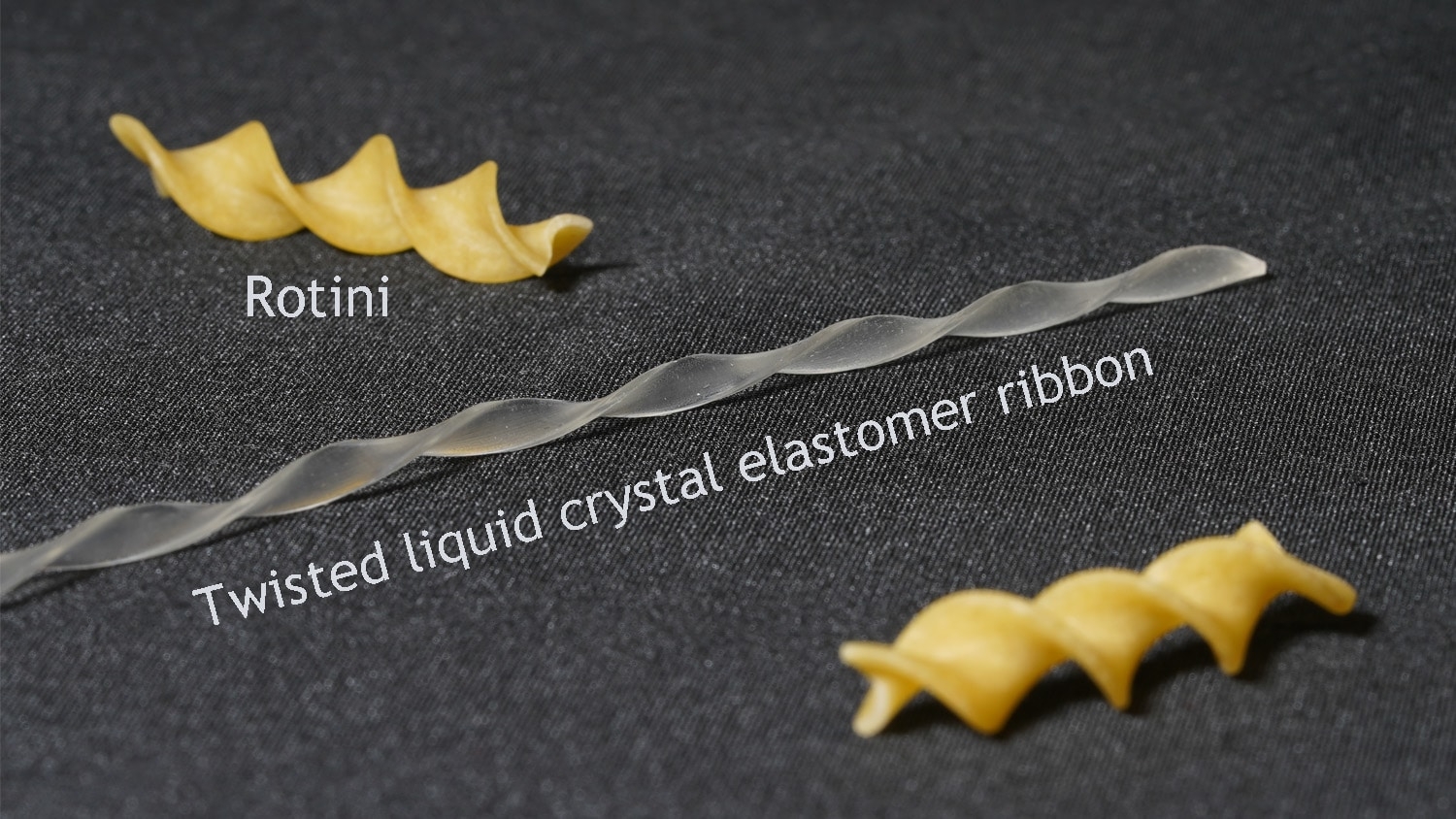 twisted clear polymer "soft robot" lies next to a rotini pasta noodle