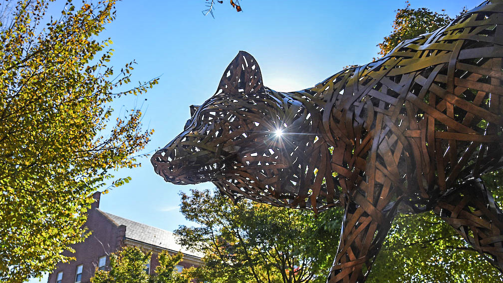 statue, wolves, wolf, copper, campus, fall, trees, color, sunny