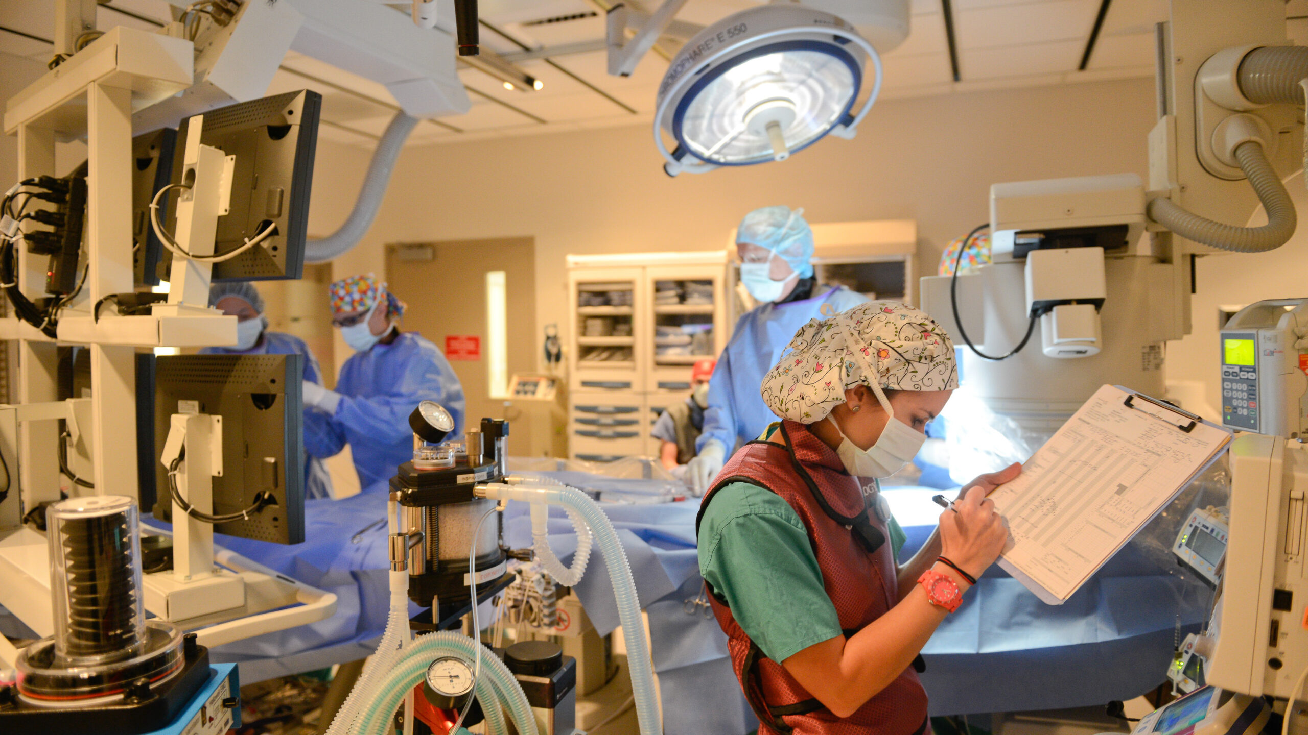 A surgery is performed on a dog at the College of Vet Med at the Biomedical campus. Photo by Marc Hall