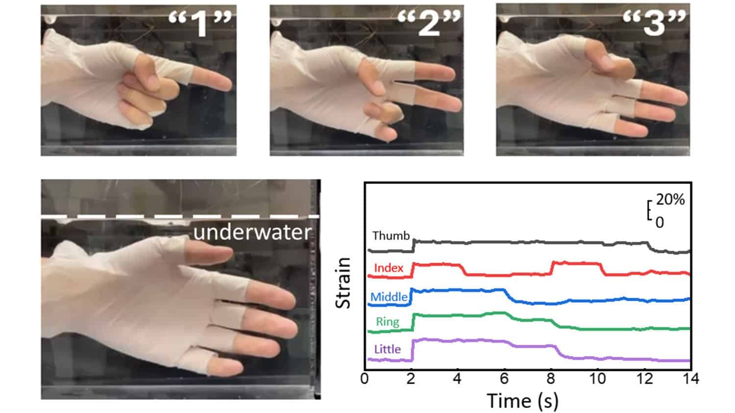 image shows four photos of a glove and a graph. The hand wearing the glove is underwater. In each photo, the hand is extending a different number of fingers, which correspond to different electrical signals shown on the graph.