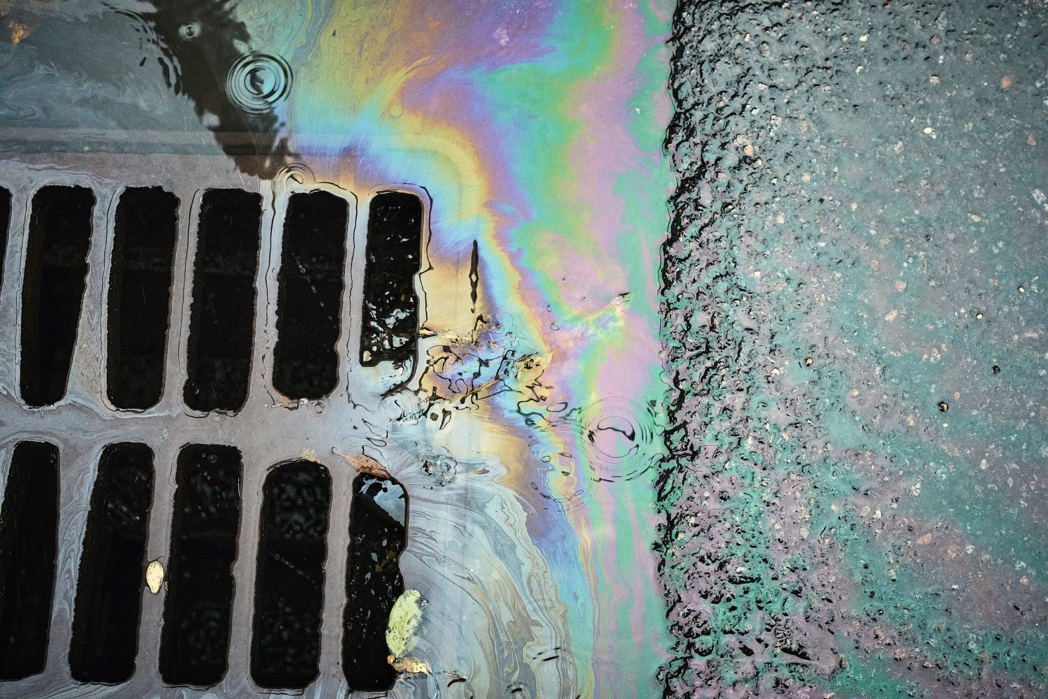 image: Oil on a Storm Drain.